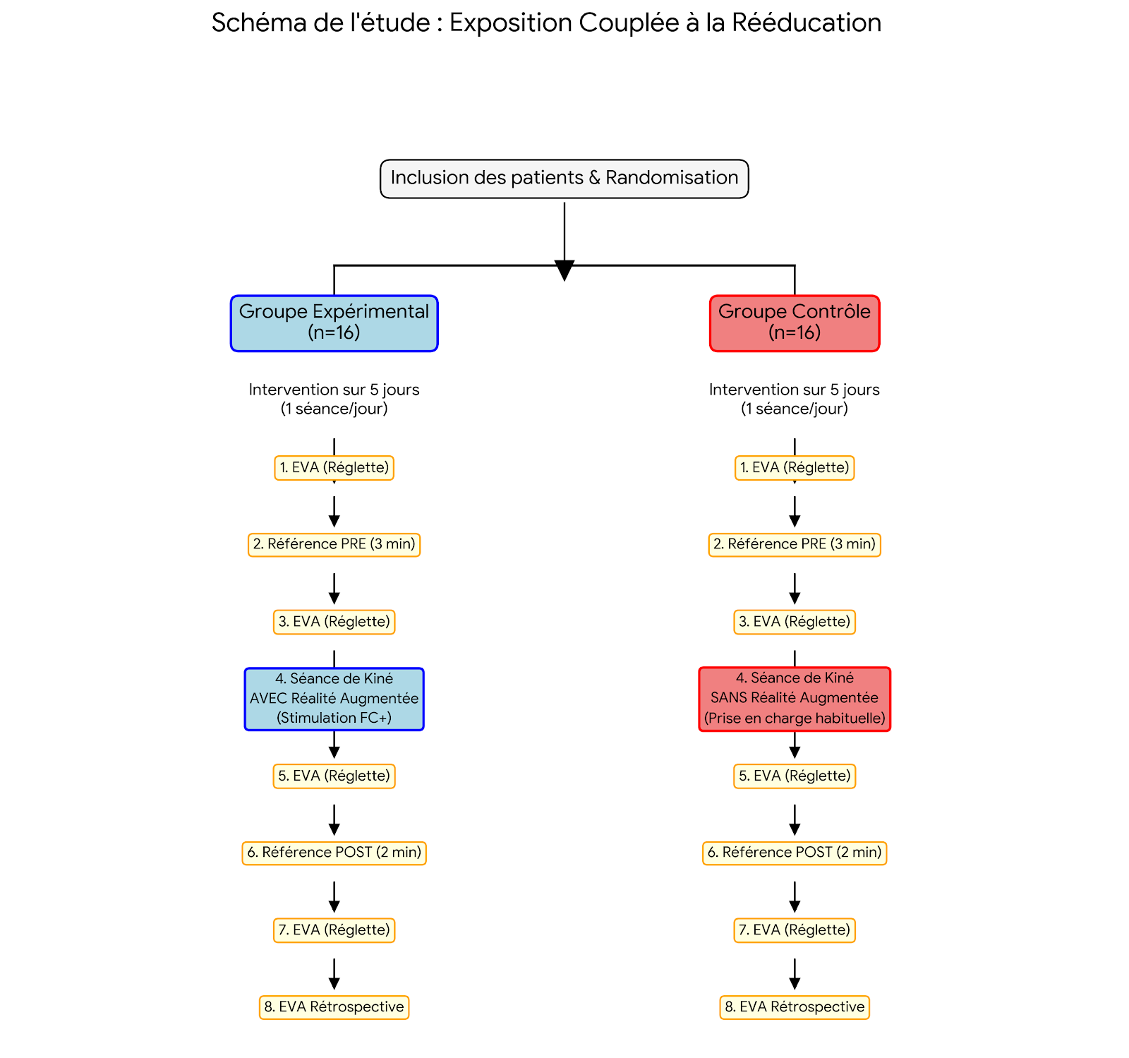 Schéma de l'étude pour l'exposition couplée