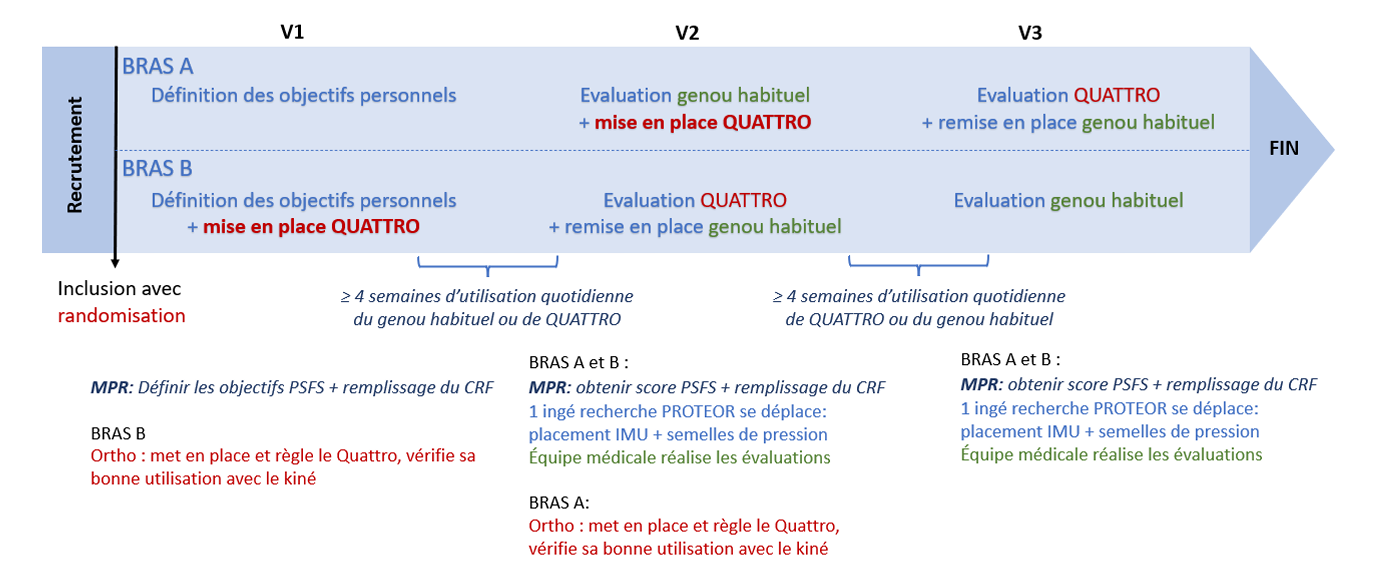 Schéma de l'étude croisée randomisée